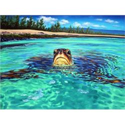 Honu Perspective - KAI Show, Patrick Ching 2015