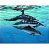 Image 6 : Dolphin Mosaic - KAI Show, Patrick Ching 2015