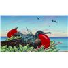 Image 1 : Iwa Roost - Patrick Ching