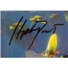 Image 4 : AUTOGRAPHED/SIGN FINDING NEMO - ROLLED PIXAR MOVIE POSTER 27" x 39" COA