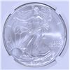 Image 2 : 2004 AMERICAN SILVER EAGLE, NGC MS-69