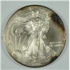 Image 1 : 1996 SILVER AMERICAN EAGLE