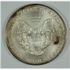 Image 2 : 1996 SILVER AMERICAN EAGLE