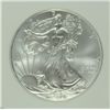 Image 2 : 2009 SILVER AMERICAN EAGLE NGC MS-69