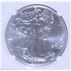 Image 2 : 2011 SILVER AMERICAN EAGLE NGC MS-70