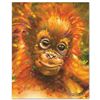 Image 3 : Baby Orangutan By Stephen Fishwick