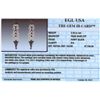 Image 3 : 14KT White Gold 7.74ctw Black Diamond Earrings