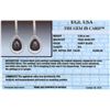 Image 3 : 14KT White Gold 4.72ctw Black Diamond Earrings