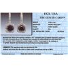 Image 3 : 14KT White Gold 5.33ctw Black Diamond Earrings