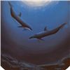 Image 3 : Innocent Age/Dolphin Serenity By Wyland