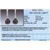 Image 3 : 14KT White Gold 5.02ctw Black Diamond Earrings