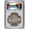 Image 4 : 1878 7TF REVERSE OF 79 MORGAN SILVER DOLLAR, NGC MS-65  BEAUTIFUL COLORS!