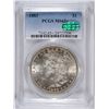 Image 1 : 1883 MORGAN SILVER DOLLAR, PCGS MS-65+   CAC STICKER NICE!!