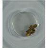 Image 2 : 1857 S.S. CENTRAL AMERICA SUNKEN SHIP .5 GRAMS GOLD NUGGETS FROM THAT 1857 SHIP