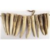 Image 2 : 1974 Deer Antler Tips on Leather Strap