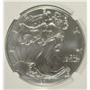 Image 2 : 2011 (S) SILVER AMERICAN EAGLE NGC MS-69