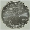 Image 2 : 2003 AMERICAN SILVER EAGLE, NGC MS-69