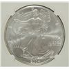Image 2 : 2004 AMERICAN SILVER EAGLE, NGC MS-69