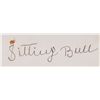 Image 2 : Sitting Bull