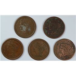 (5) 1856 LARGE CENTS