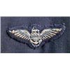 Image 4 : WWII NAVY PILOT UNIFORM + PANTS - OFFICER PILOT'S EAGLE