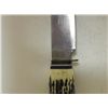 Image 3 : SOLINGEN MOUNTAIN SURVIVAL KNIFE-ANTLER GRIP GERMANY