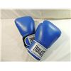 Image 1 : NEW EVERLAST 1602 BOXING GLOVES PRO MODEL
