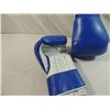 Image 3 : NEW EVERLAST 1602 BOXING GLOVES PRO MODEL