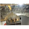 Image 2 : BEAUTIFUL STAINED GLASS LIGHT FIXTURE