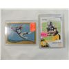 Image 1 : LOT 2 2010 JOHNATHAN DWYER & 1998 AHMAN GREEN