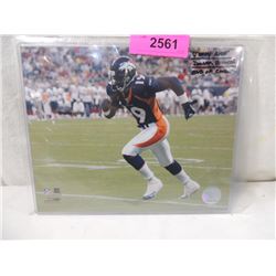 JERRY RICE DENVER BRONCOS PHOTO 8x10