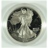 Image 1 : 1993 SILVER AMERICAN EAGLE