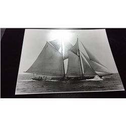 MacAskill 8  X 10  Photo  Gertrude L. Thebaud 