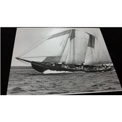 MacAskill 8  X 10  Photo  Bluenose 