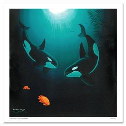 In the Company of Orcas By Wyland