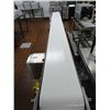 Image 4 : 12' Conveyor Table