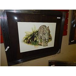 FRAMED PRINT -  BOB CAT  - RON PARKER - GALLERY ESTIMATE $350