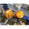 Image 1 : ORANGE LITES - 2 - 12 VOLT - 2S