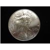 Image 1 : 2013 AMERICAN SILVER EAGLE UNC