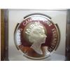 Image 2 : 2002 CANADA SILVER $15 NGC PF69 ULTRA CAMEO