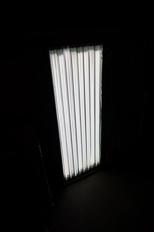 Sunleaves Pioneer VI Grow Plus Lights.