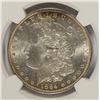 Image 2 : 1884-O MORGAN DOLLAR NGC MS-64+