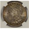 Image 2 : 1887 MORGAN DOLLAR NGC MS-64 COLOR