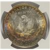 Image 3 : 1889 MORGAN DOLLAR NGC MS-63 RAINBOW COLOR ON REVERSE