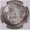 Image 2 : 1889 MORGAN DOLLAR NGC MS-63+ RAINBOW COLOR ON REVERSE