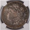 Image 2 : 1904-O MORGAN DOLLAR NGC MS-64 TONED