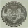 Image 3 : 2009 AMERICAN SILVER EAGLE, NGC MS-69