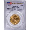 Image 1 : 2005 $25 GOLD AMERICAN EAGLE PCGS MS-69 (FIRST STRIKE) (1/2)