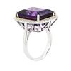 Image 6 : 14KT Two-Tone Gold 16.83ct Amethyst and Diamond Ring