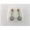Image 1 : 176-16581:14K white and rose gold earrings
